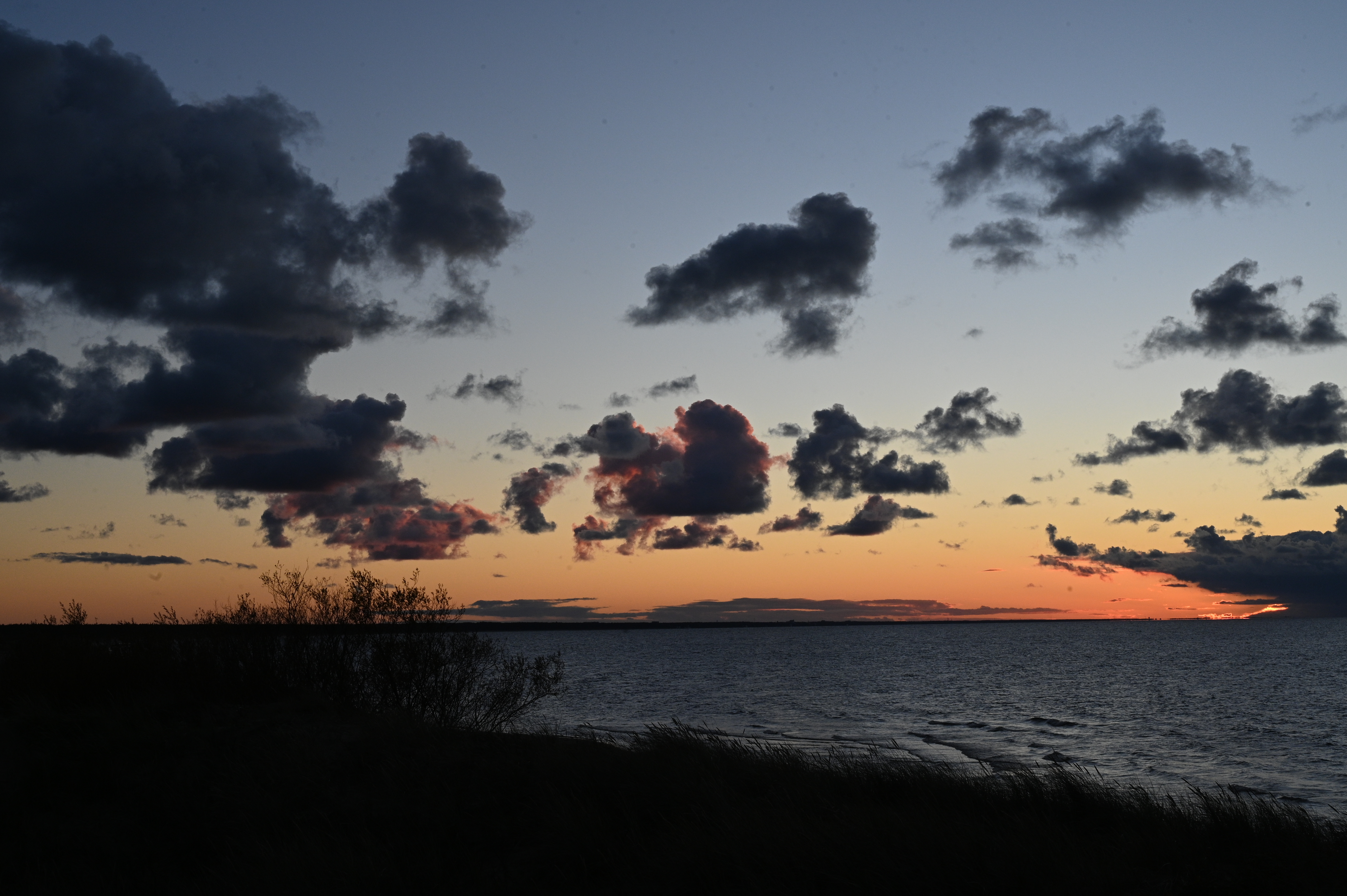 2025/10/18 - walk/DSC_0527.JPG